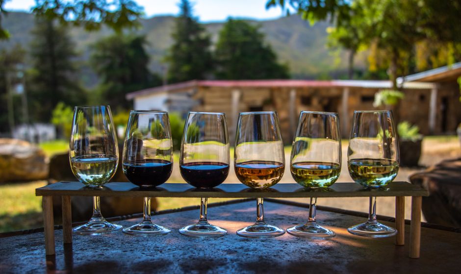 Hosting A Tasting Night With Friends